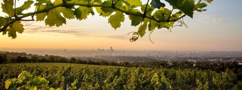 Höhere Bundeslehranstalt für Wein- und Obstbau