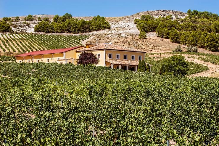 Spain_winery