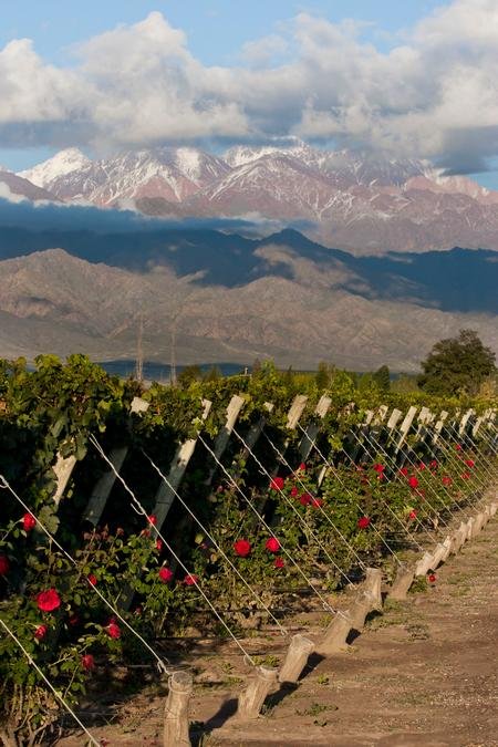 Valdeflores-Mendoza 