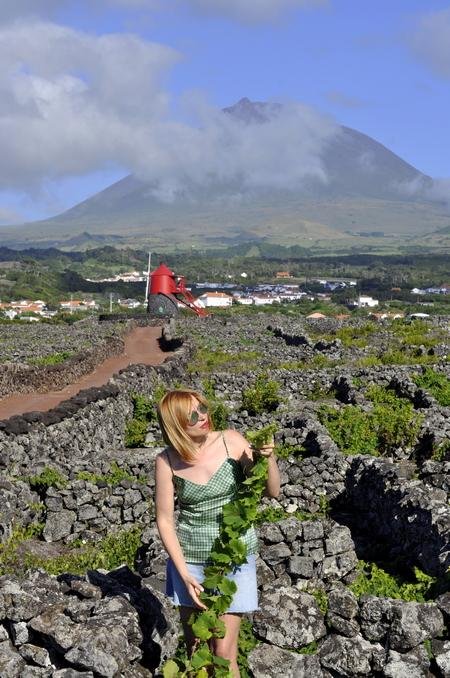 vines Pico islands volcano view