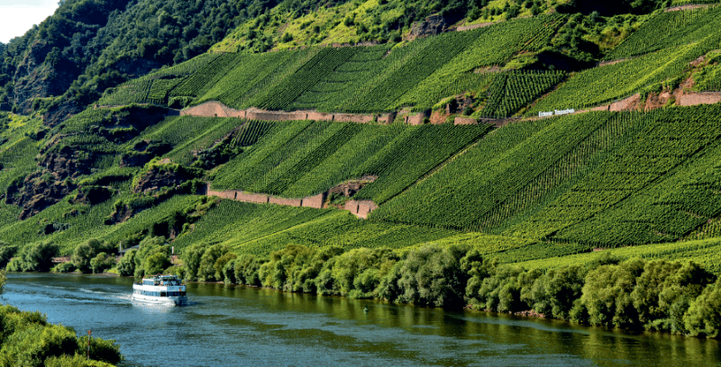 Moselle region