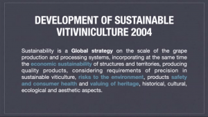 sustainability definition