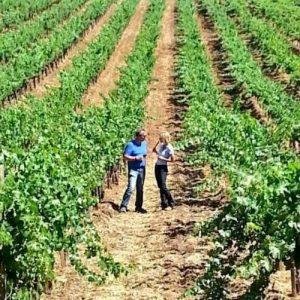 Napa Valley winemakers
