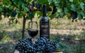 TBILVINO