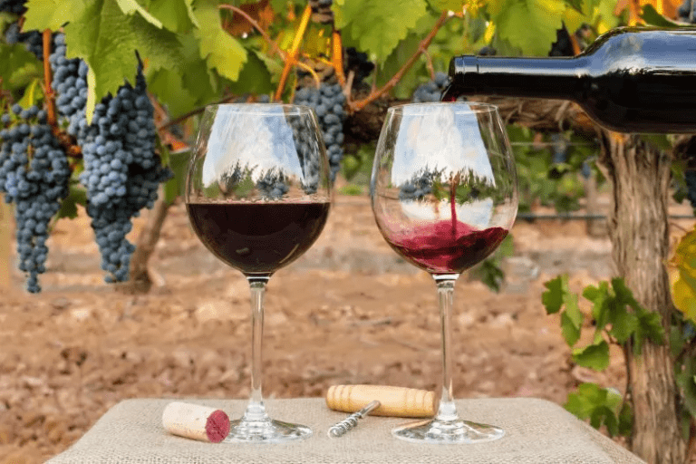 світ органічних вин