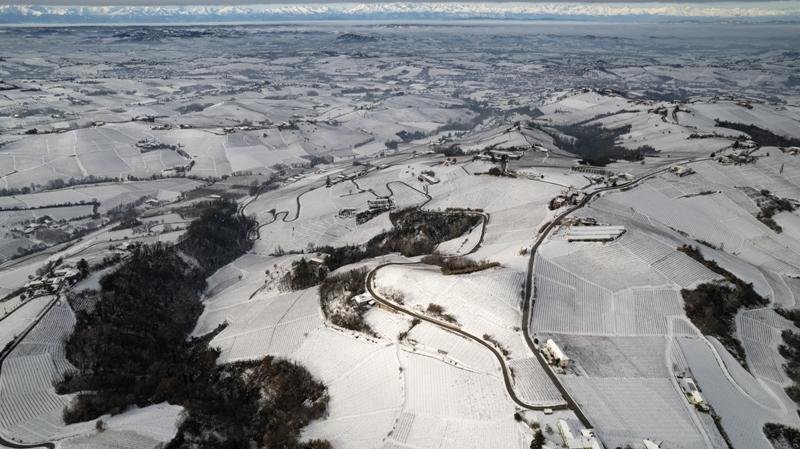 Asti Spumante та Moscato d’Asti