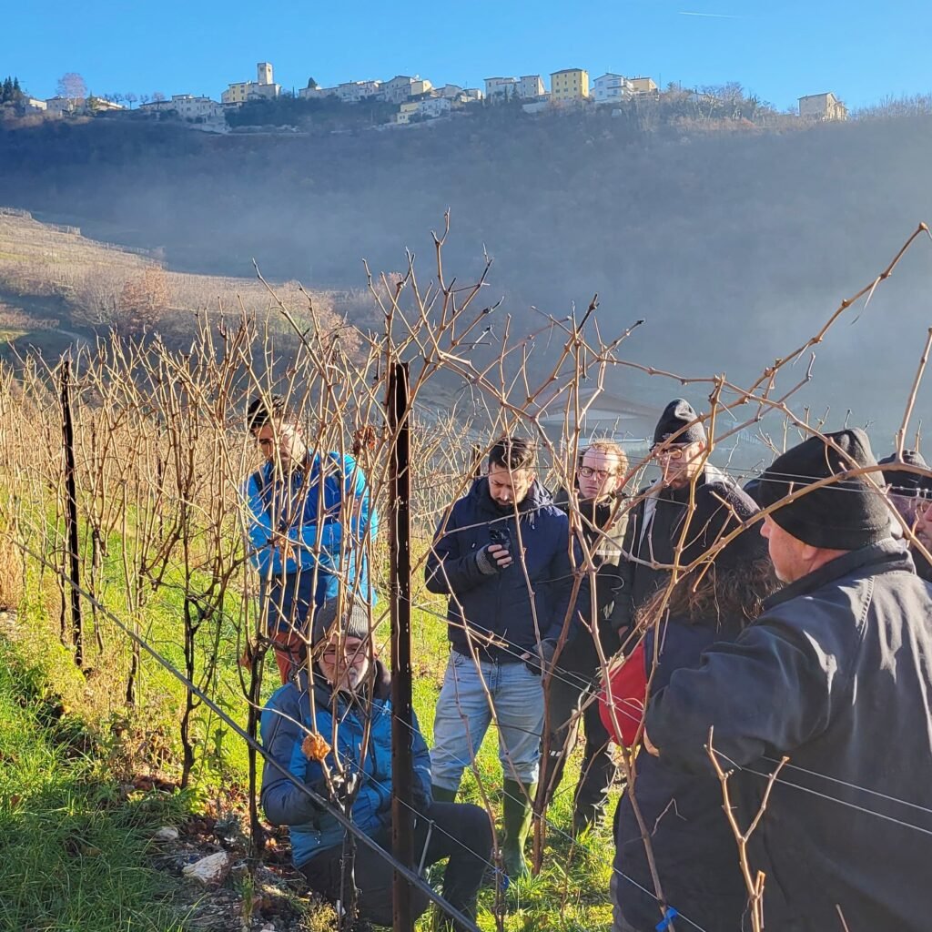 Valpolicella Education Program 