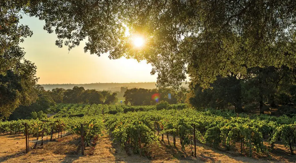 Amador County
