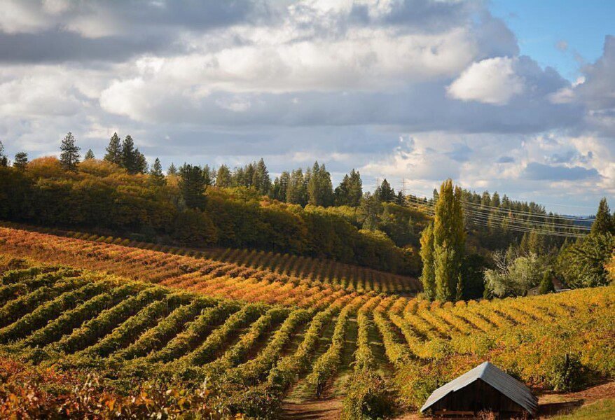 El Dorado County