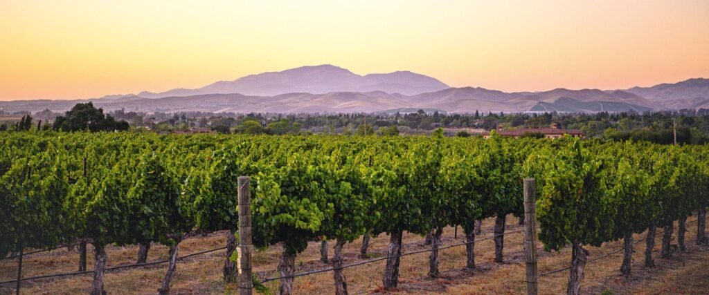 Paso Robles