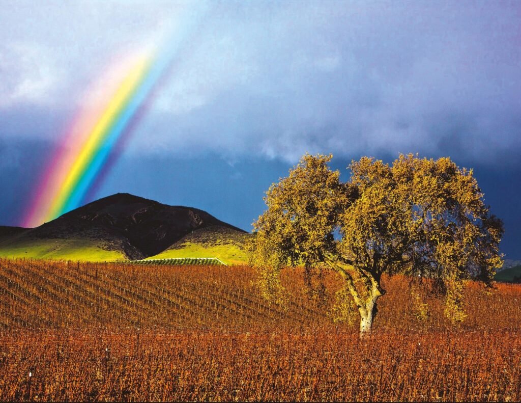 WELCOME TO CALIFORNIA