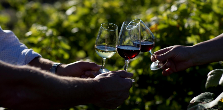 Cité des Climats et Vins de Bourgogne
