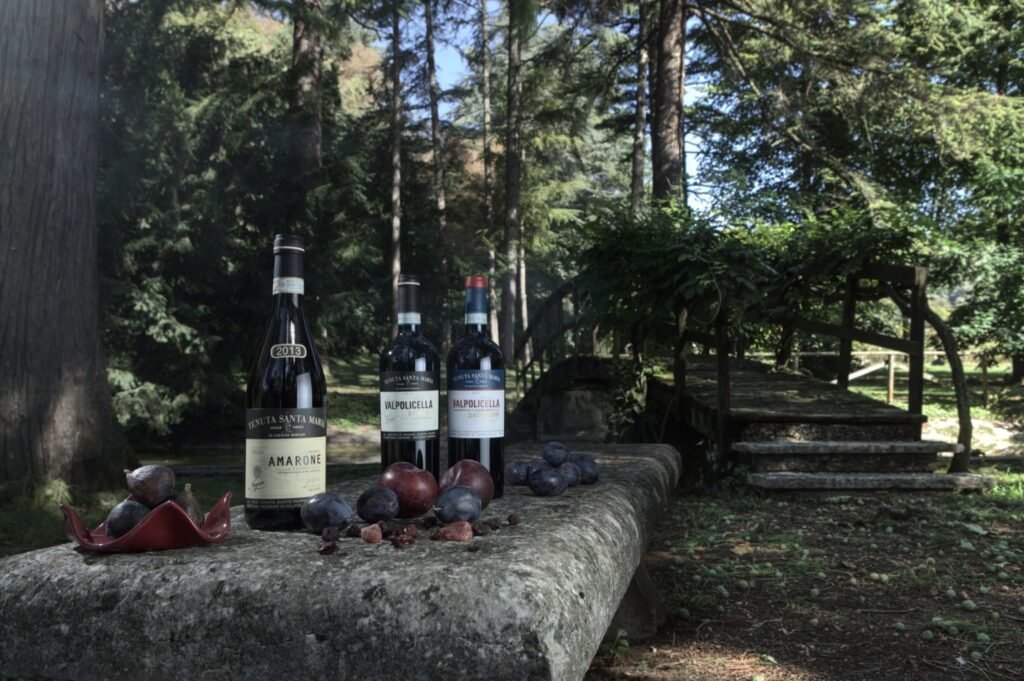 Tenuta Santa Maria