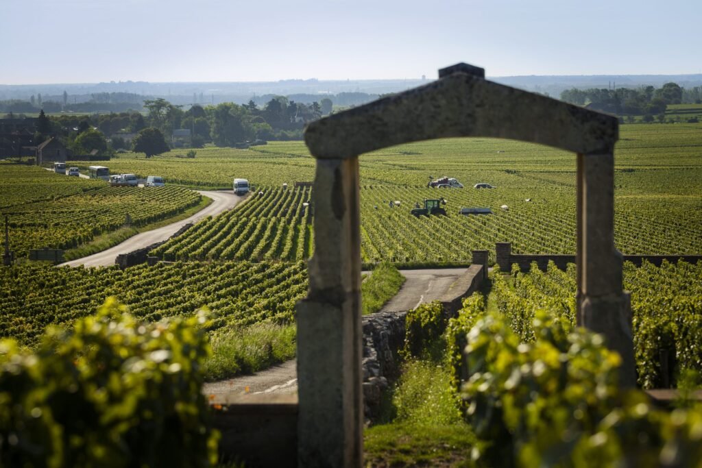 Global Wine Tourism Day