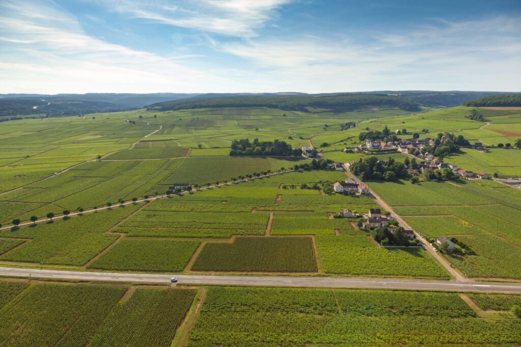 Global Wine Tourism Day