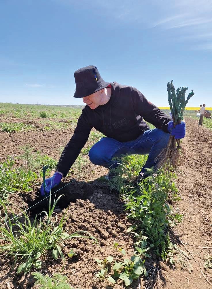 Георгій Молчанов