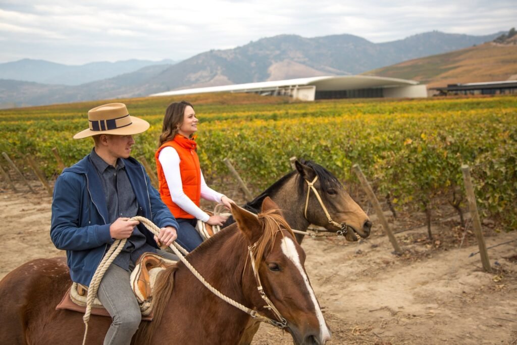 VIK Winery