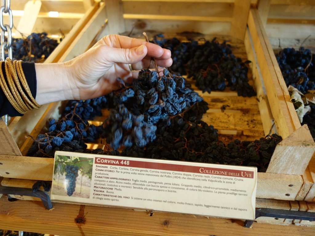Valpolicella
