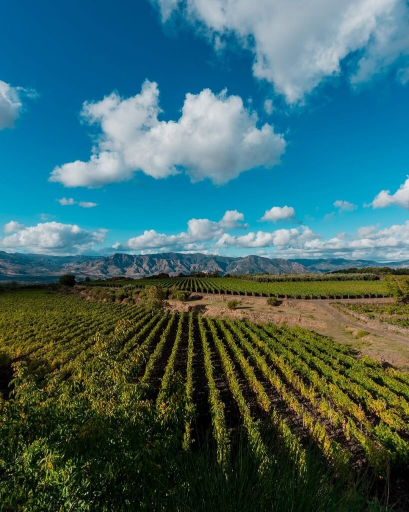 Sicilia DOC