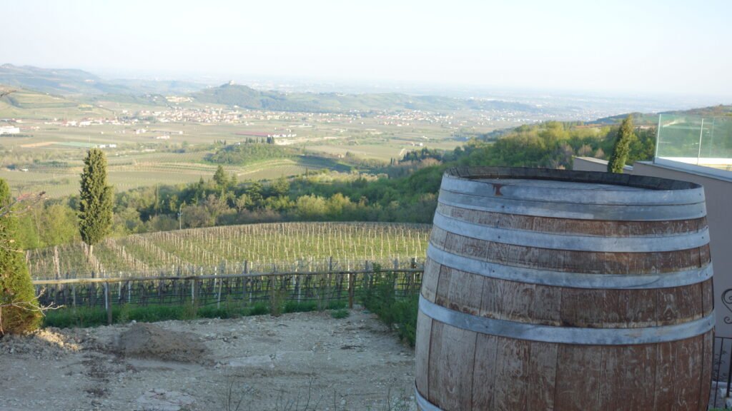 Valpolicella