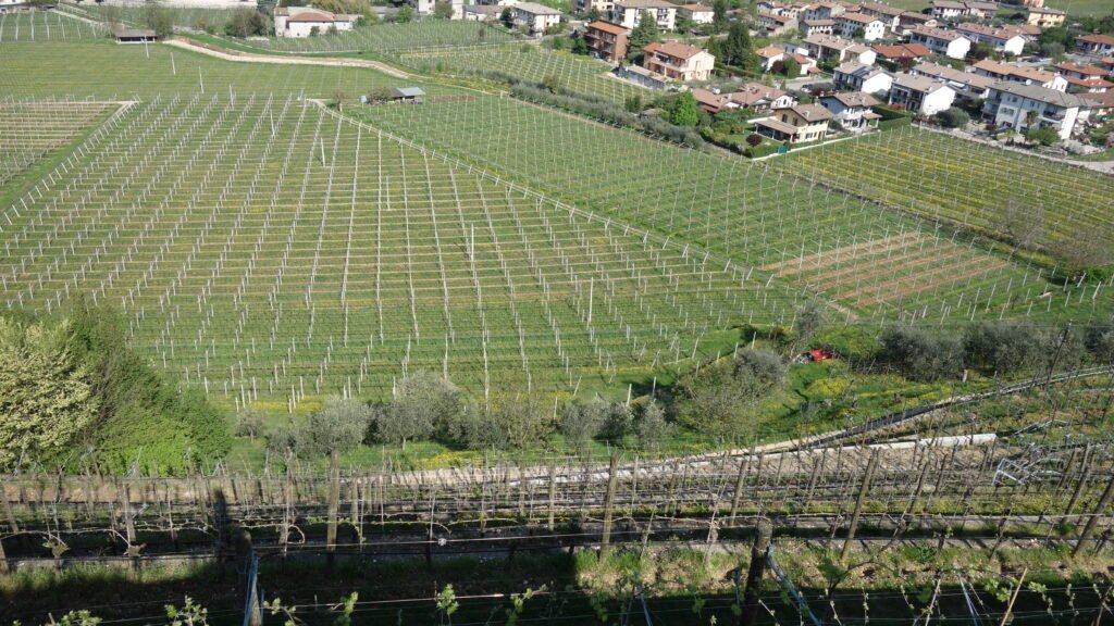 Valpolicella