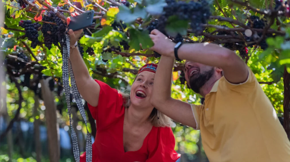 Madeira Wine Festival