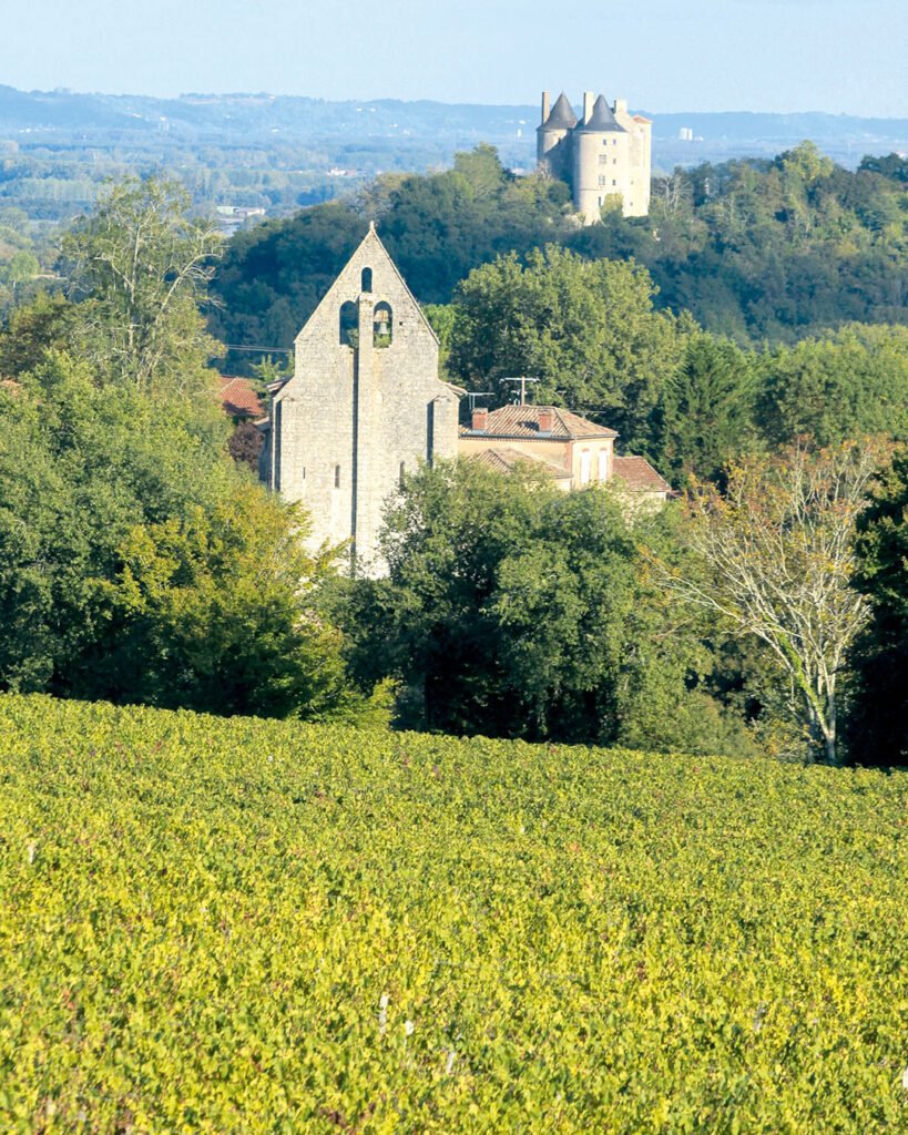 Buzet