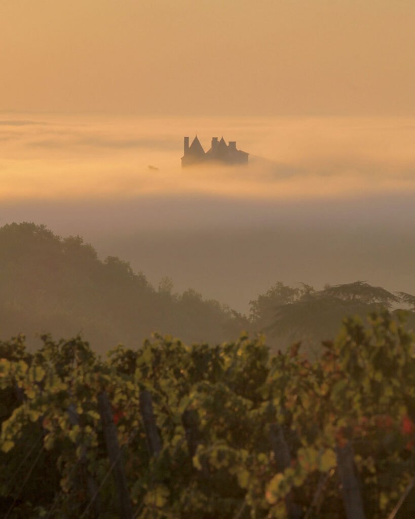 Buzet