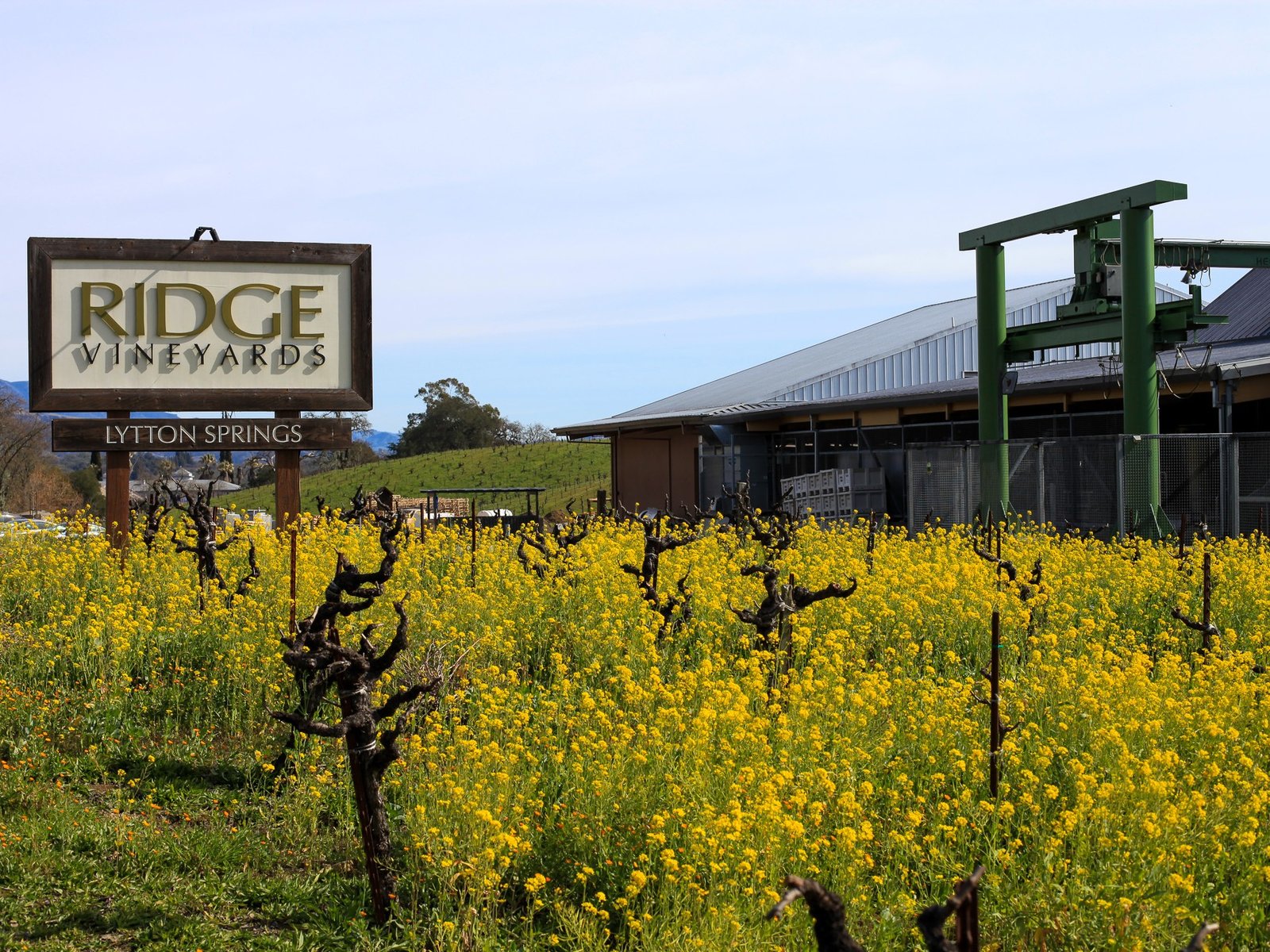 Ridge Vineyards