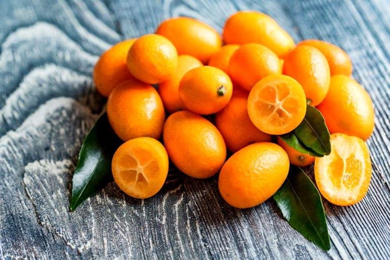 Fruit Logistica-2021