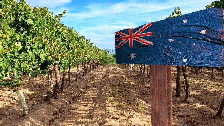 винограда в Австралии