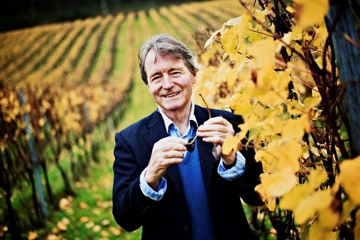 Spurrier in vineyard