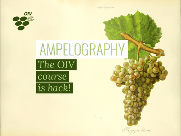 The new OIV International Course in Ampelography