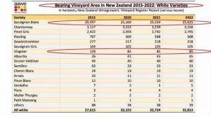 New Zealand vineyard area 2015-2022