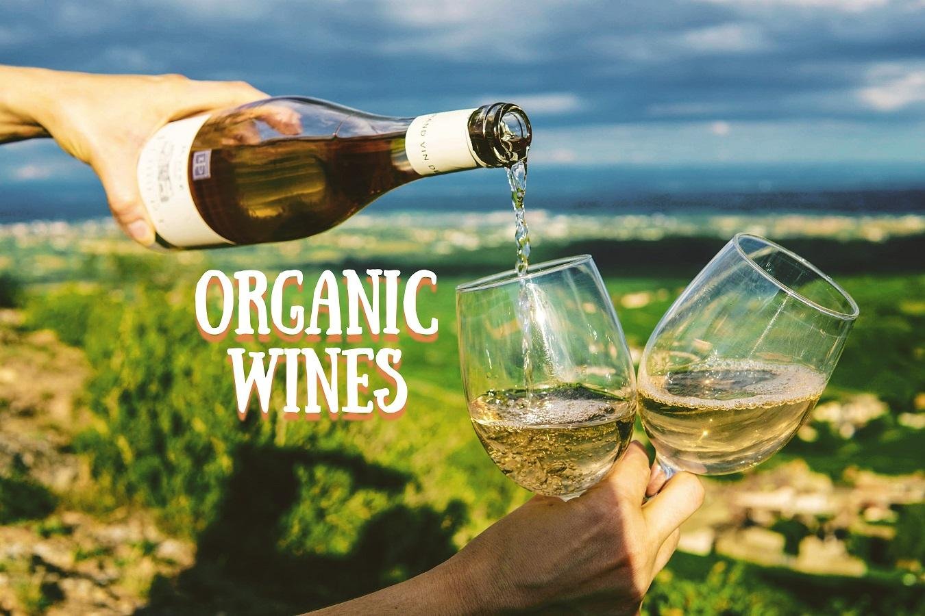 Уроки органічного виноградарства від Альберто Антоніні