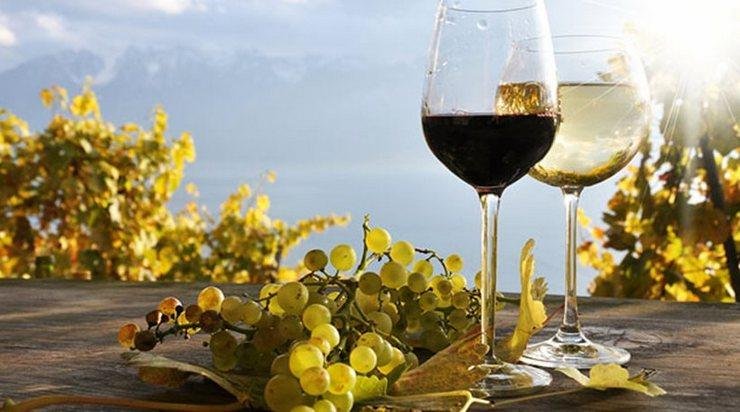 Греція чекає українські вина