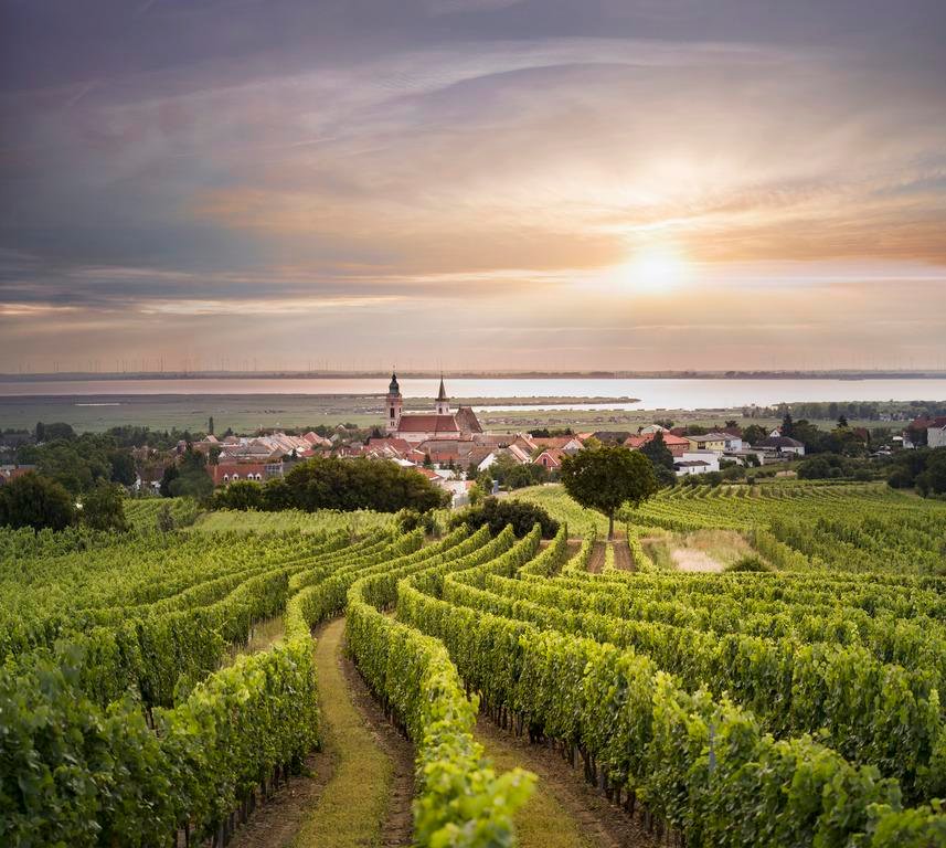 Burgenland: яскраві вина з сонячної землі