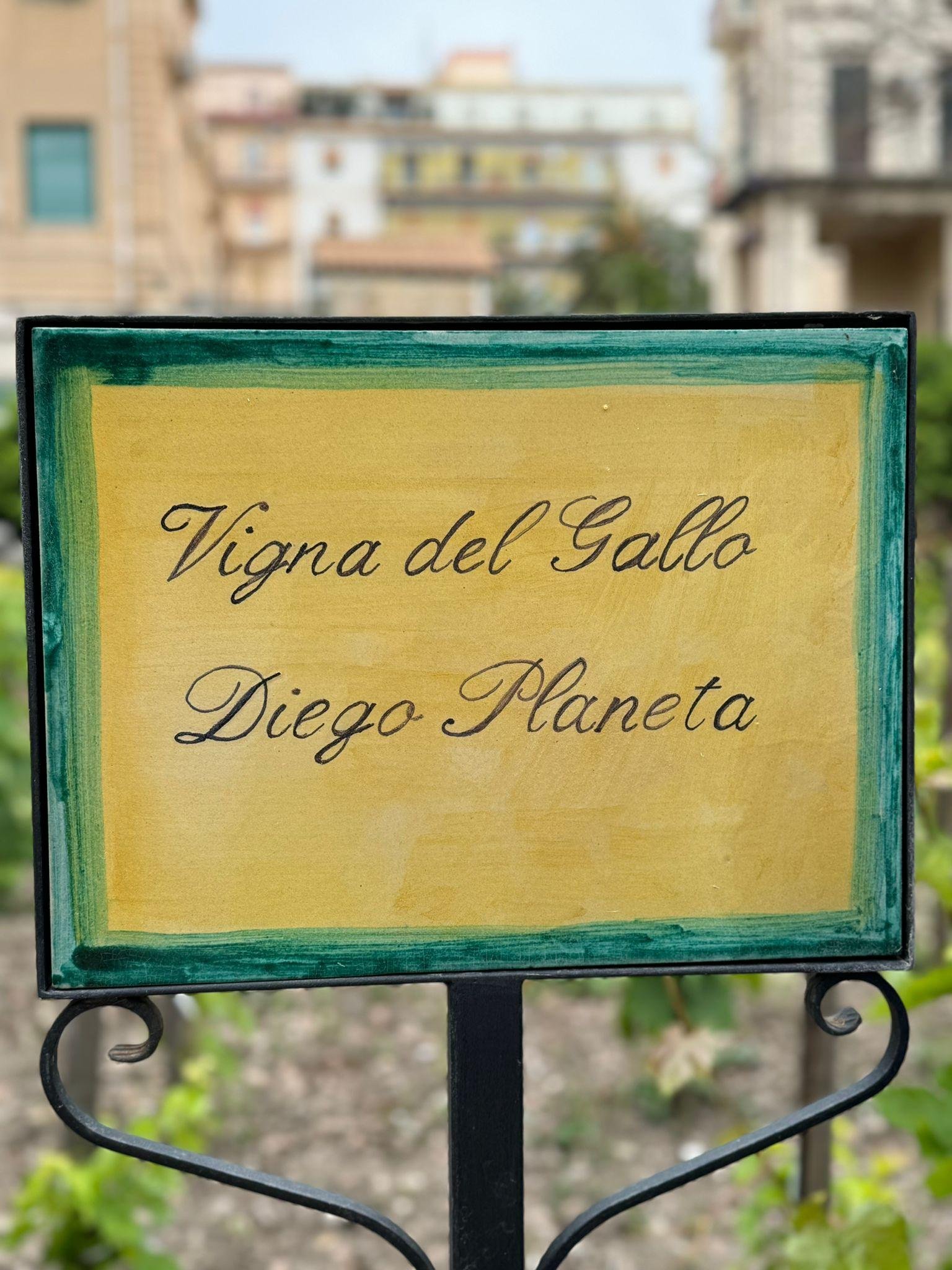 La Vigna del Gallo «Diego Planeta»  –  скарбниця у серці Палермо