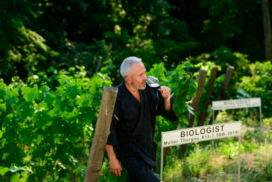 Organic Winemaking in Kyiv Region: Biologist Receives Organic Standard Certification