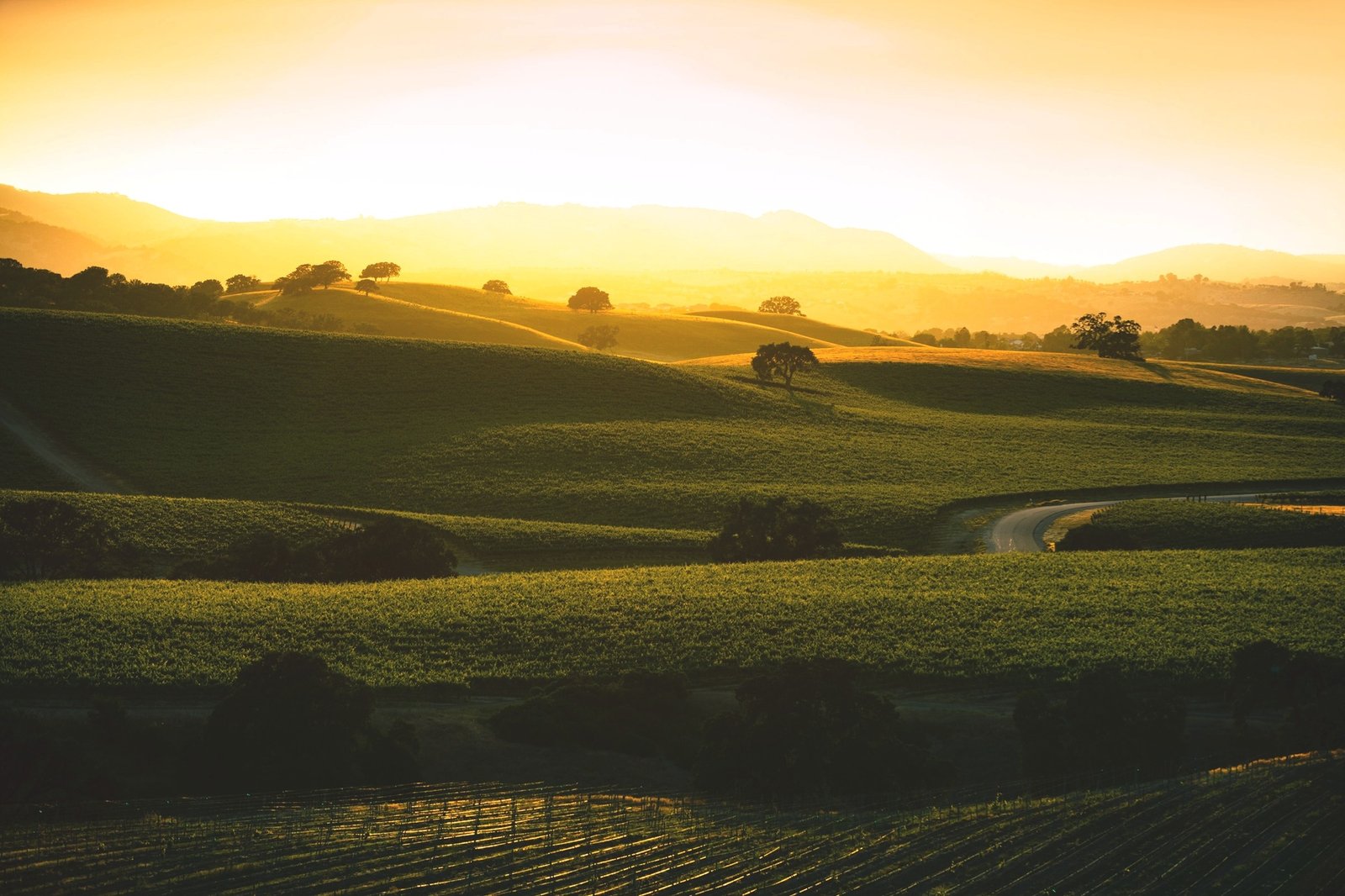 Vina Robles Vineyards & Winery