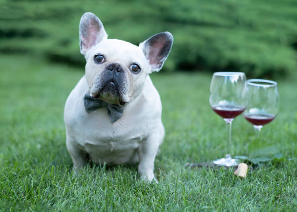 Vina Robles