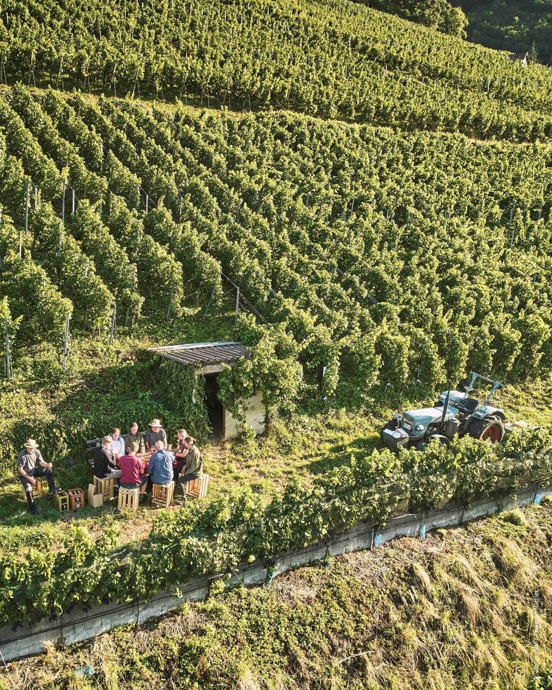 Badische Weinstraße