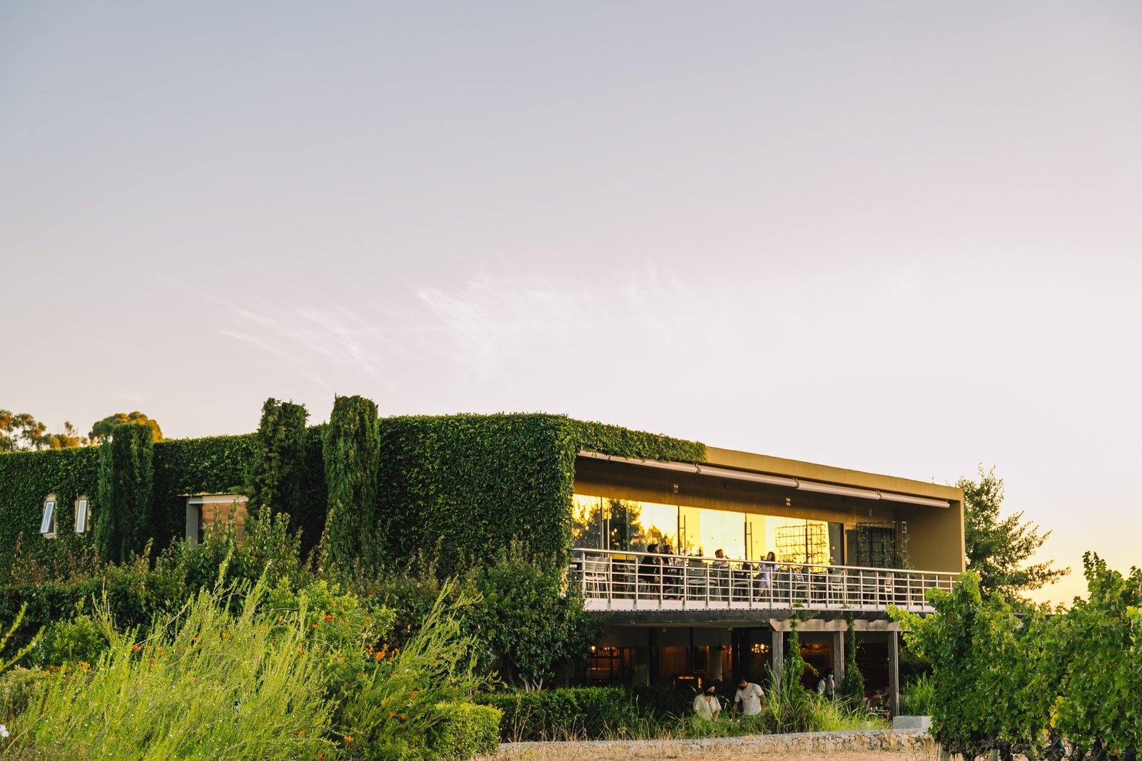 Glenelly Estate