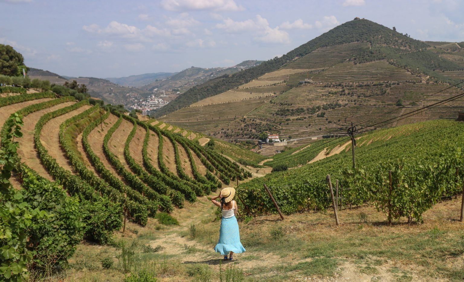 Глобальне виробництво вина