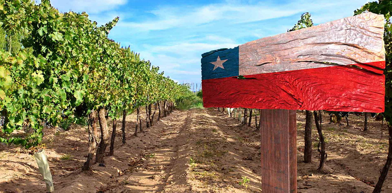 Експорт чилійського вина