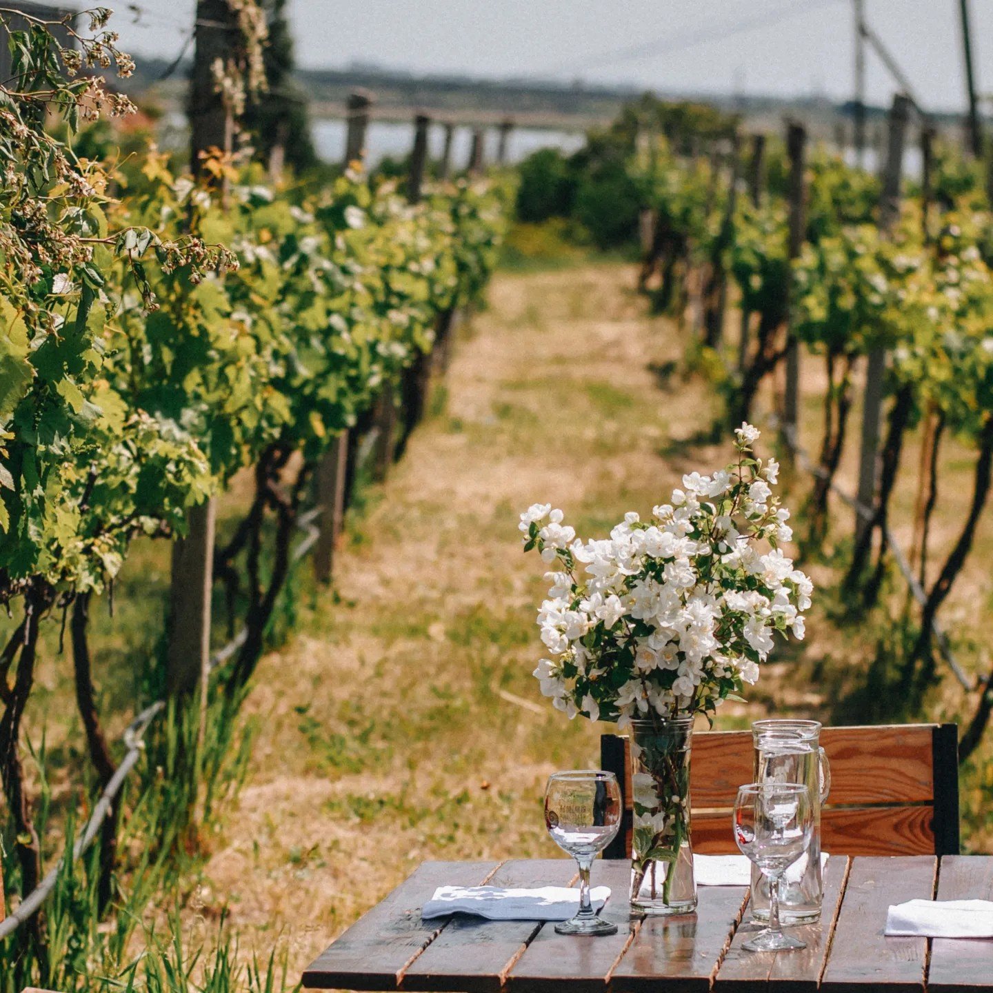 Association of Craft Winemakers of the Black Sea Region