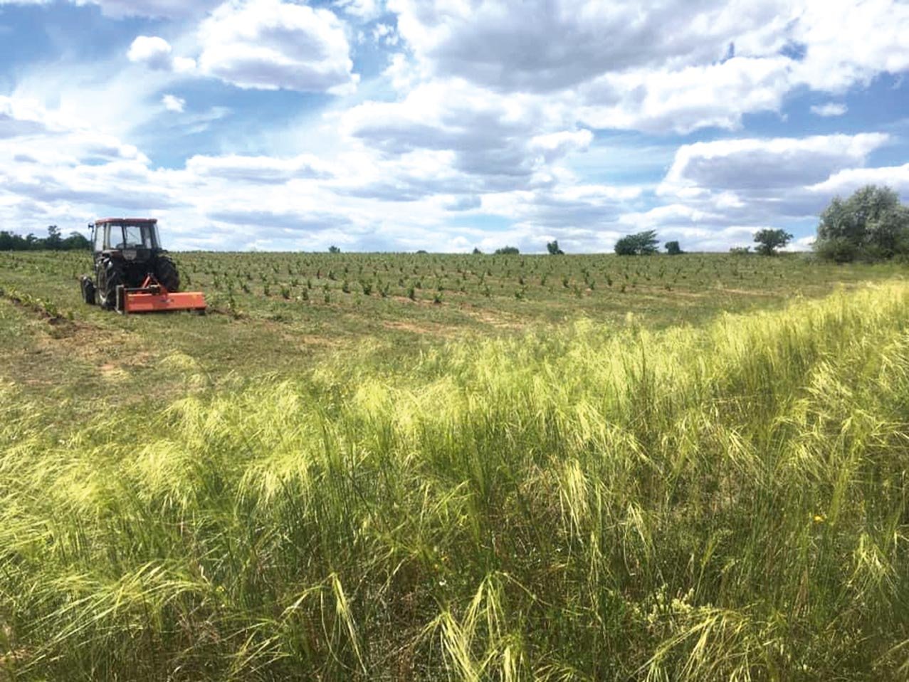 Георгій Молчанов