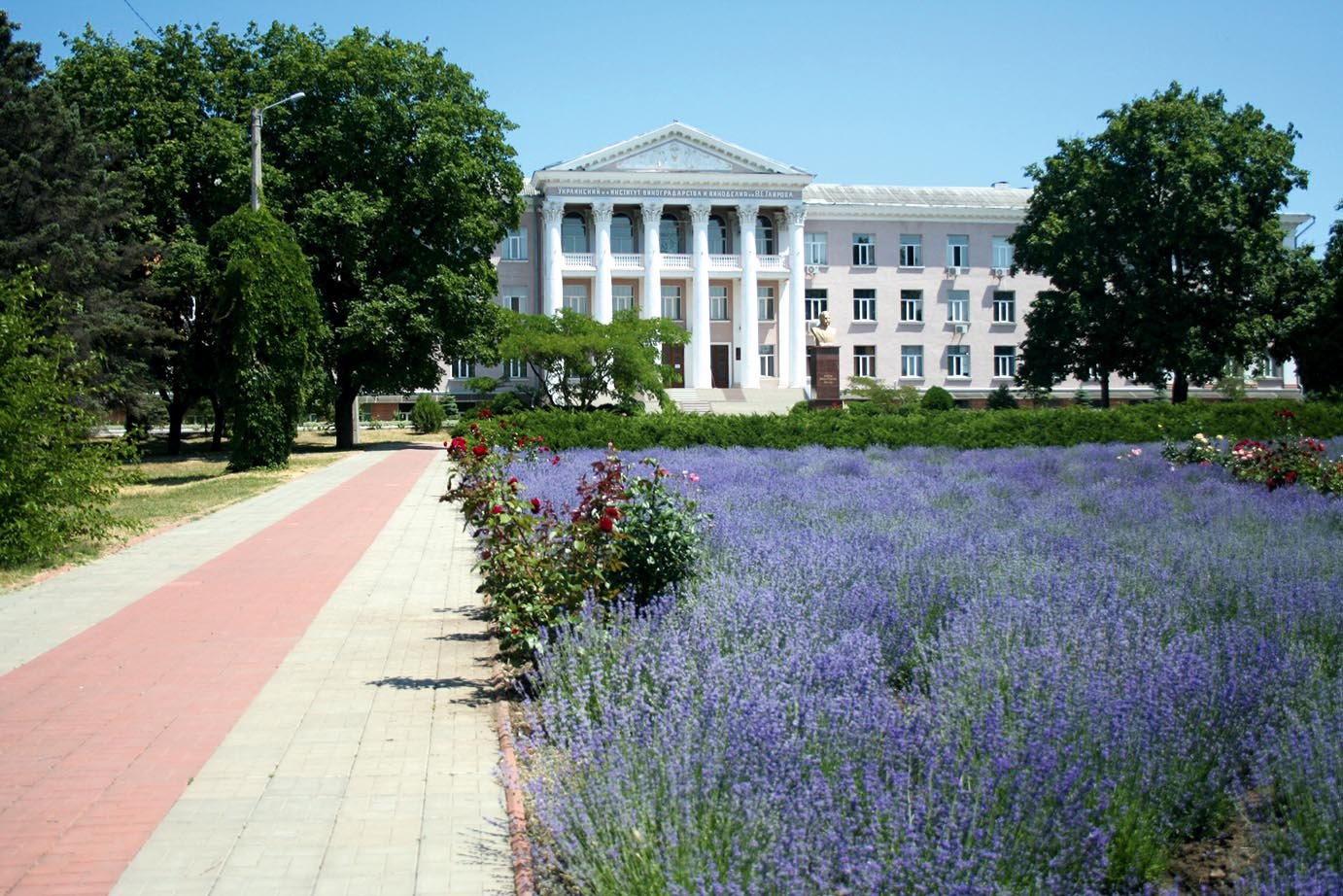 Інститут виноградарства і виноробства ім. В.Є. Таїрова