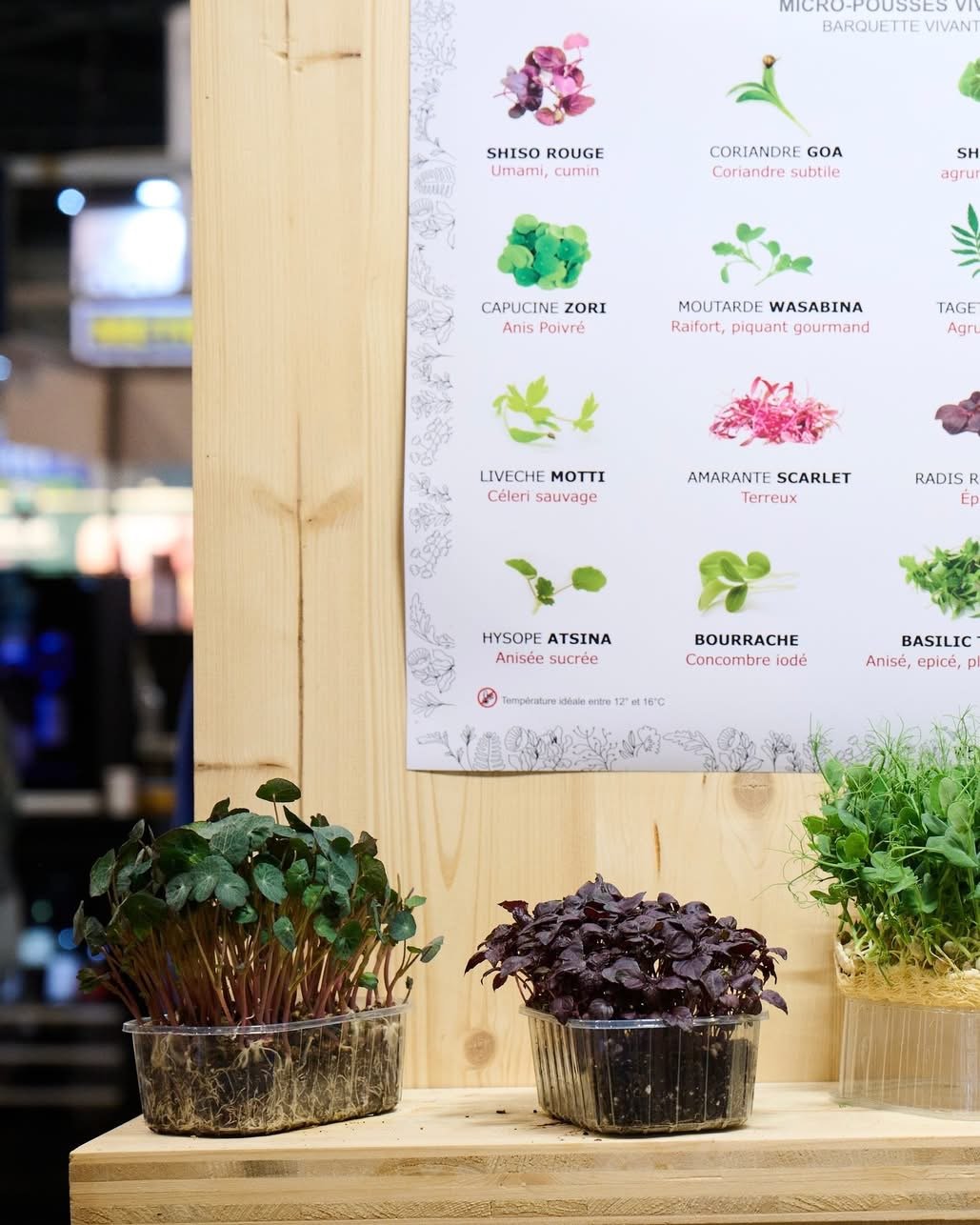 Sirha Méditerranée