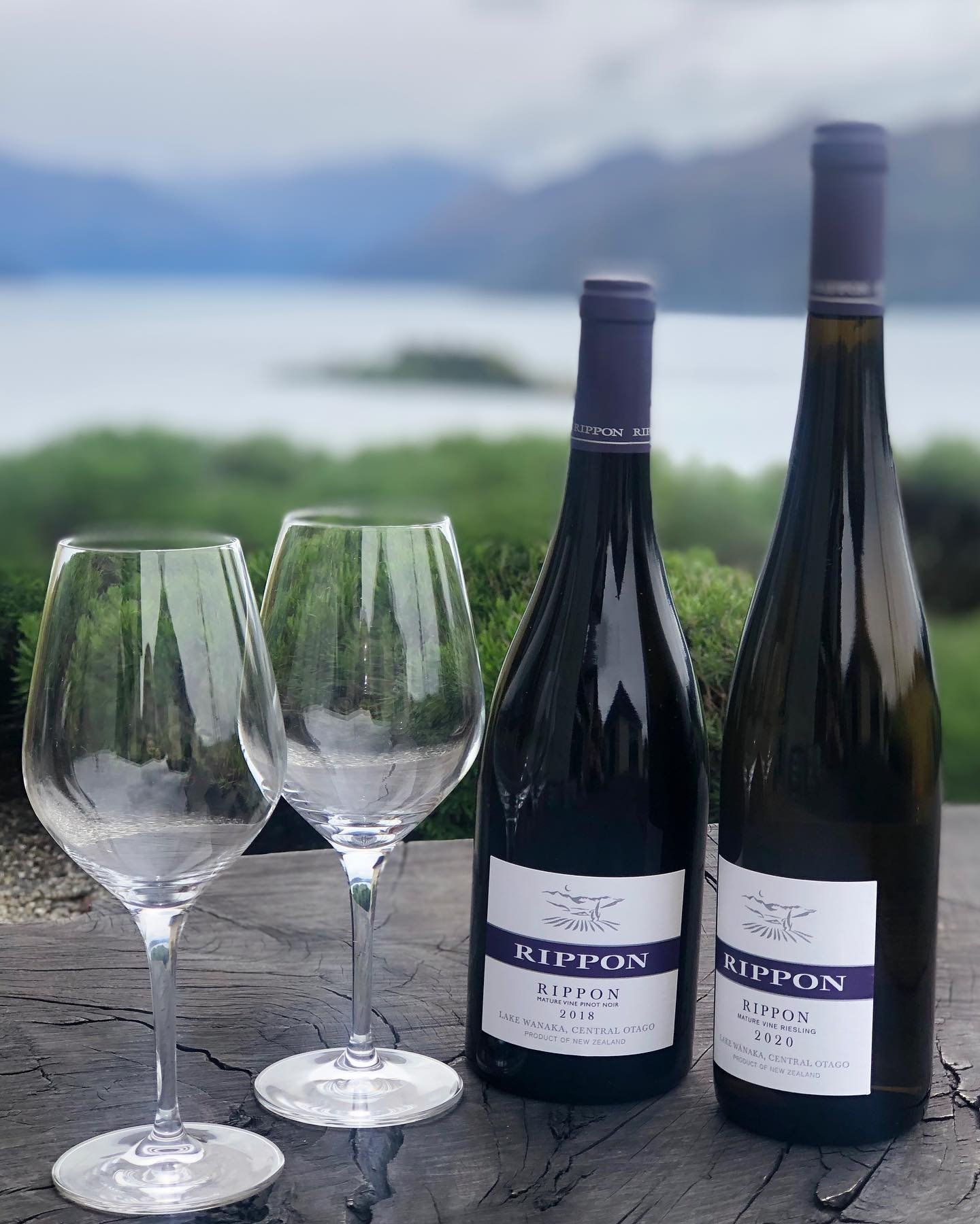 Rippon Vineyard